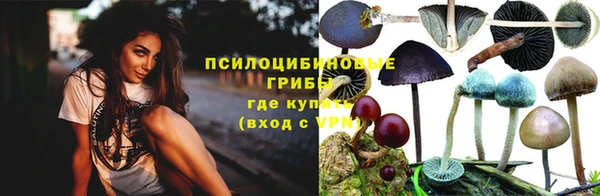 прущий лед Алексеевка