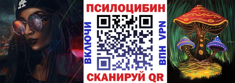 купить наркоту  МЕГА зеркало  Псилоцибиновые грибы Magic Shrooms  Махачкала 
