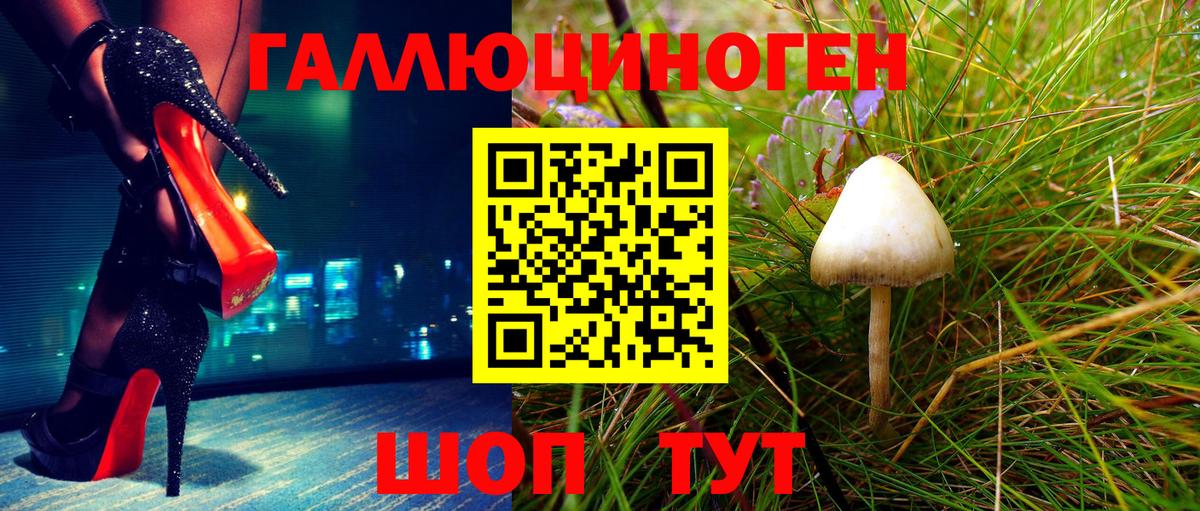 Махачкала  Псилоцибиновые грибы MAGIC MUSHROOMS  Псилоцибиновые грибы MAGIC MUSHROOMS  Вход с VPN 