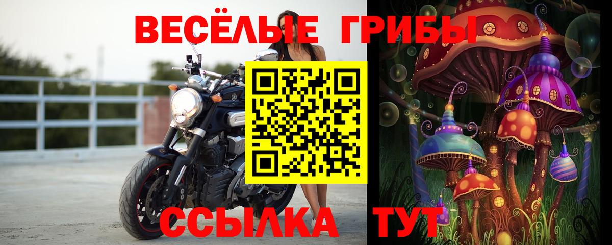 Галлюциногенные грибы прущие грибы Махачкала