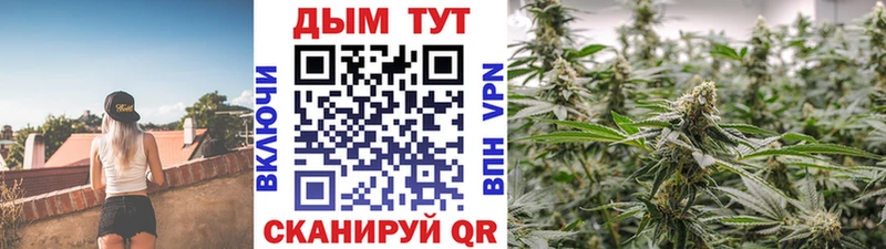 что такое   Махачкала  Бошки марихуана Ganja 